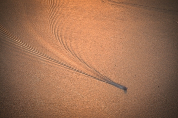 PSX_20250614_092725